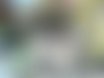 CFE va por morosos hasta sus casas