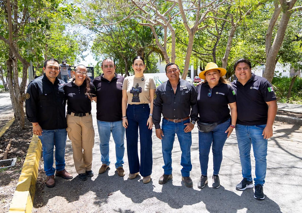 Se lleva a cabo el operativo integral de limpieza urbana y mantenimiento en el fraccionamiento Cataluña