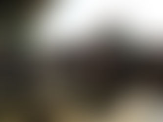 Se lleva en calma proceso electoral en el municipio de Tulum.