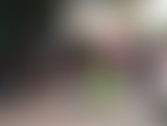 Altos gastos operativos desencadena cierre de negocios en Playa del Carmen