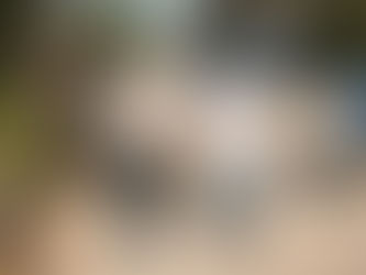 Exhorta la candidata a senadora por Quintana Roo, Mayuli Martínez a aprovechar la oportunidad histórica para votar este 2 de junio