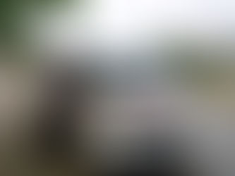 Persisten practicas riesgosas en servicio de combis foráneas en ruta Tulum-Playa del Carmen