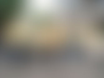 Supervisa Marciano Dzul pavimentación de la colonia “La Veleta” en Tulum