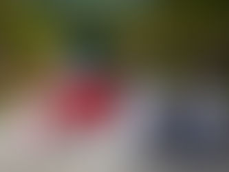 Celebran el CCVIII Aniversario de la Independencia Mexicana con desfile en Isla Mujeres