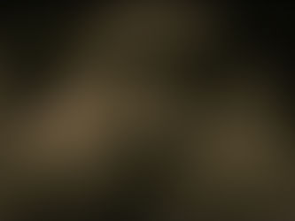 Huracán Grace si causó afectaciones en nidos de tortugas.