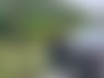 Hallan osamenta en lote baldío de la colonia Cristo Rey en Playa del Carmen