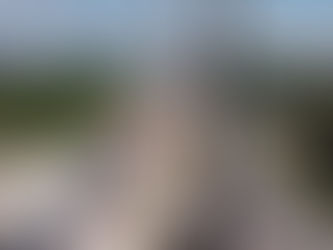 Fonatur Confirma que Tren Maya No Pasará por Todo el Camellón Central de Cancún a Playa Del Carmen
