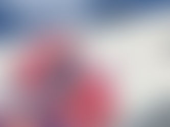 Bomberos de Cozumel se capacitan en el curso “Rescate vertical y descenso controlado” para fortalecer la atención a emergencias