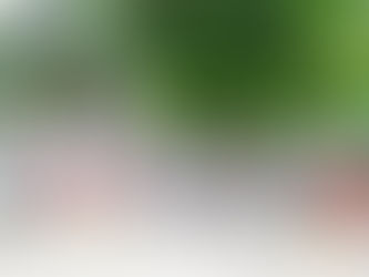 Clausura Cofepris fiesta con 200 personas en la colonia Zazil Ha.