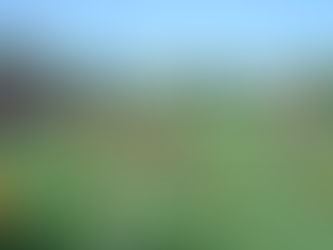 “Pequeños gigantes" llega a preescolar