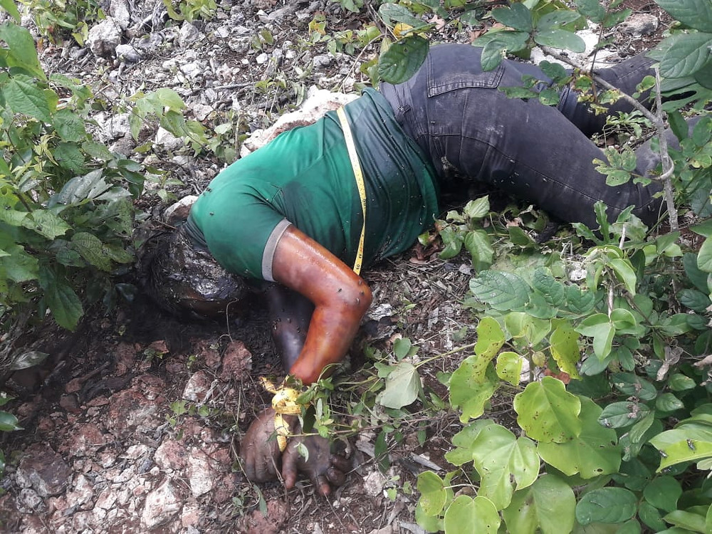 Encuentran dos cuerpos maniatados y putrefactos en la colonia Santa Cecilia