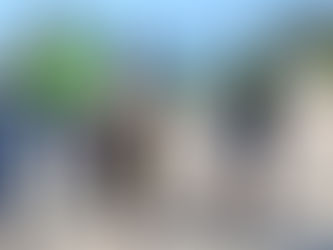 Solidaridad encabezó el evento voluntario internacional de limpieza de costas y cuerpos de agua