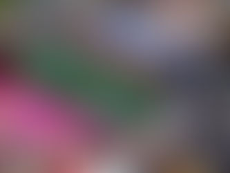 Celebran CVIII Aniversario de la Revolución Mexicana en Isla Mujeres