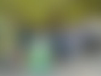 Fundación Eco-Bahia, un año más al servicio del medio ambiente,presenta resultados obtenidos en 2022