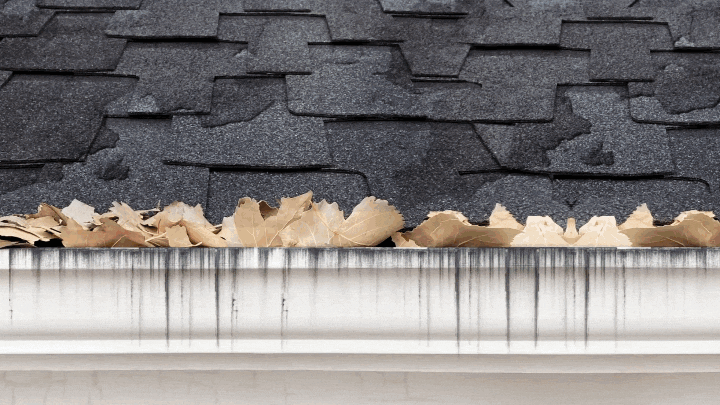 LeafShield Gutter Guards Protects Your Home From The Damage of Clogged Gutters.gif