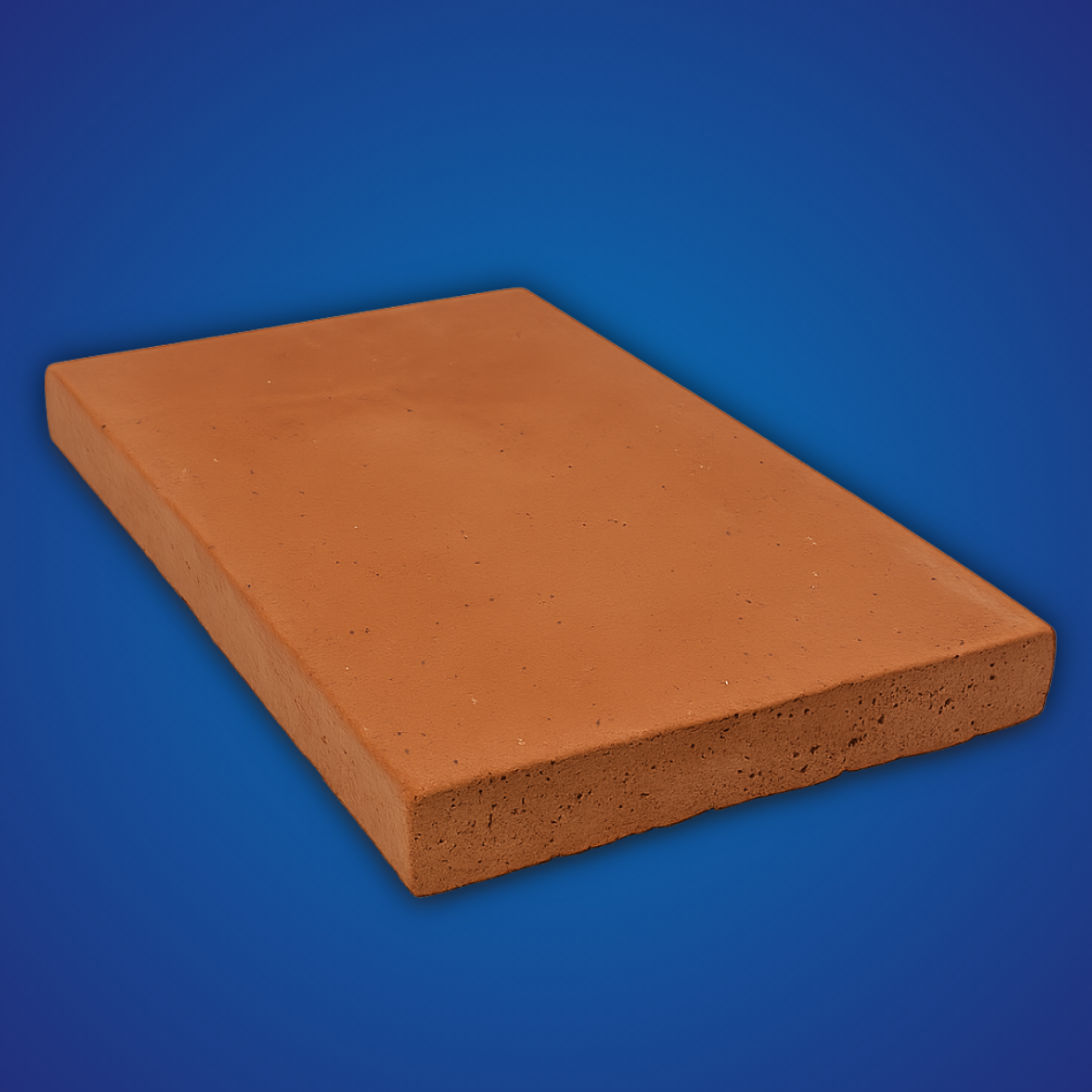 BISCOTTO CASAPULLA 34/37