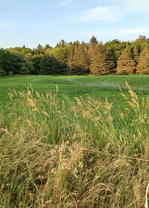 20230704_195445.jpg