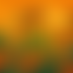 Feature Article | Beyond the Screen: How Live Events Power Tanner Winterhof’s Agricultural Community Empire