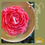Thumbnail: Beeswax Candle - Peony