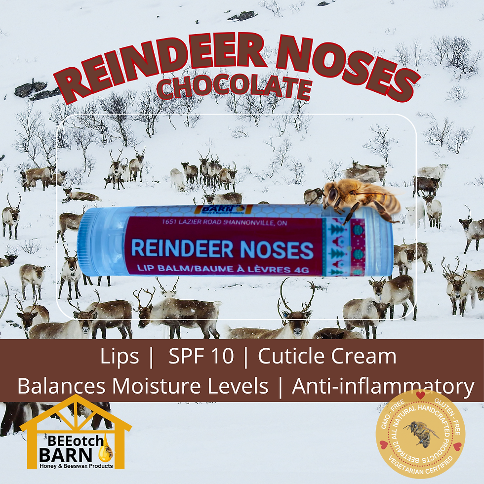 Thumbnail: Lippies (Lip Balm) - Winter Flavours