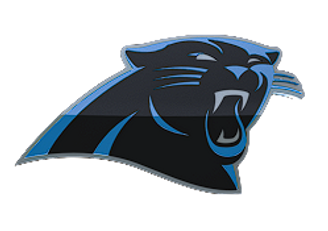 panthers.png