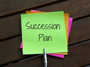 No Strategic Plan, No Succession Plan, and A Panic Hire — Oh My!