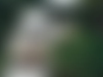 Signos distintivos e identificação Geográfica