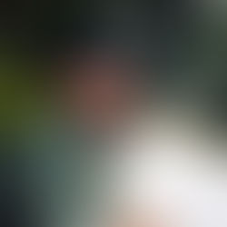 Entrevista com Saulo Jennings