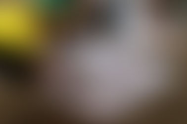 Pescadores do Araguaia participam de projeto com Embrapa e parceiros