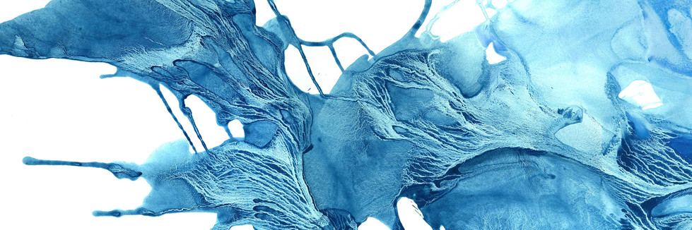 ICE 14, 2016, DETAIL