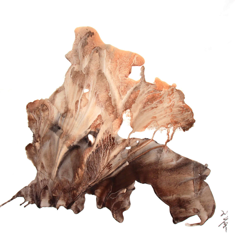LEAVES 29, 2017