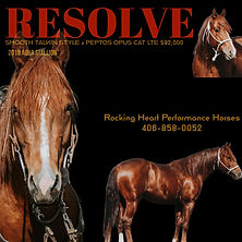 Rocking Heart Horses Logo