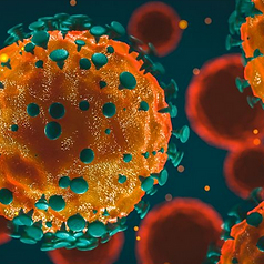 Coronavirus.PNG