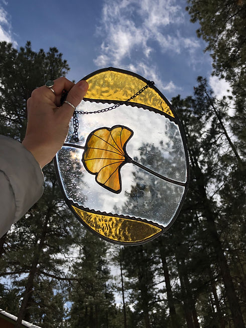ginkgo.JPG