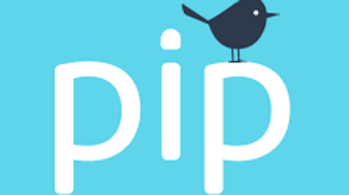 pip.png