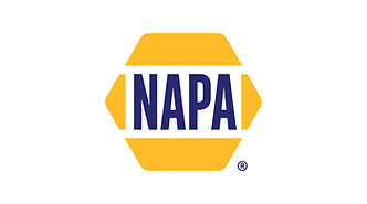 NAPA-2022-logo.jpg