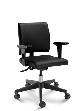 Slim Executiva.png