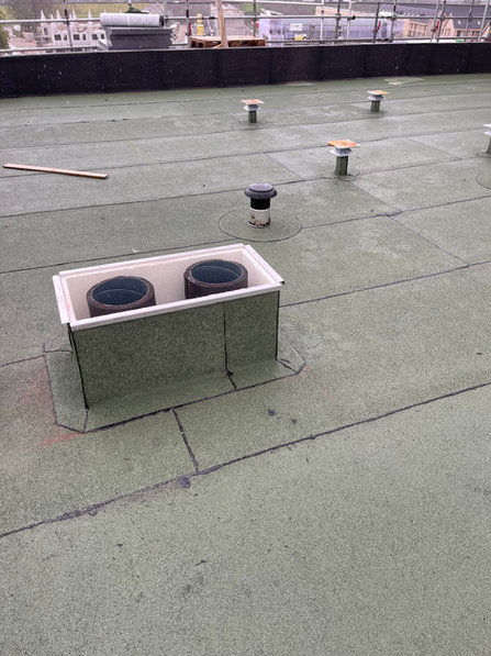 Afgerond werk groene dak dordrecht - nieuwbouw