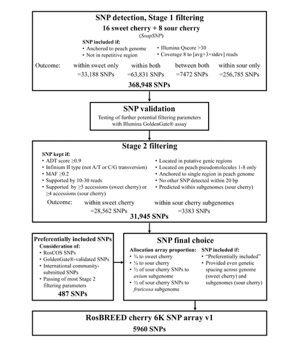 Screen Shot 2015-06-03 at 2.07.34 PM.png