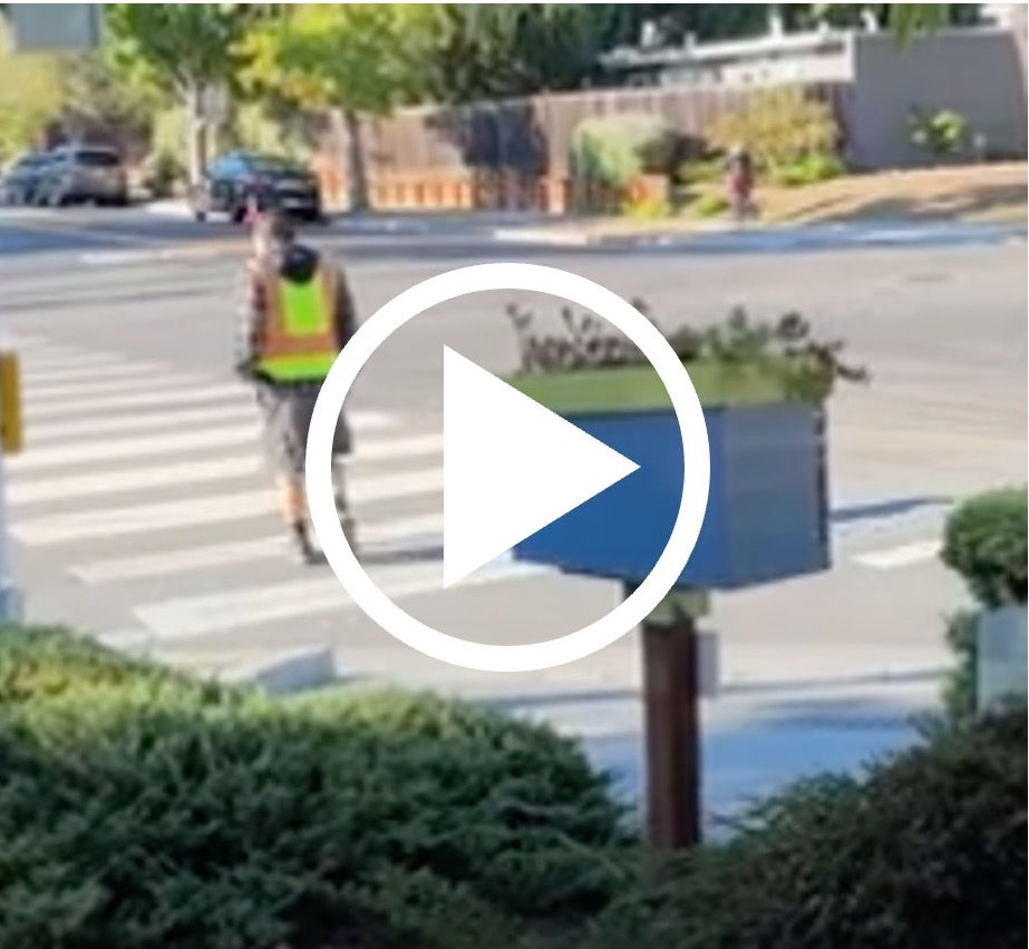 A sting operation at Remington/Spinosa to catch drivers who don't yield to pedestrians.