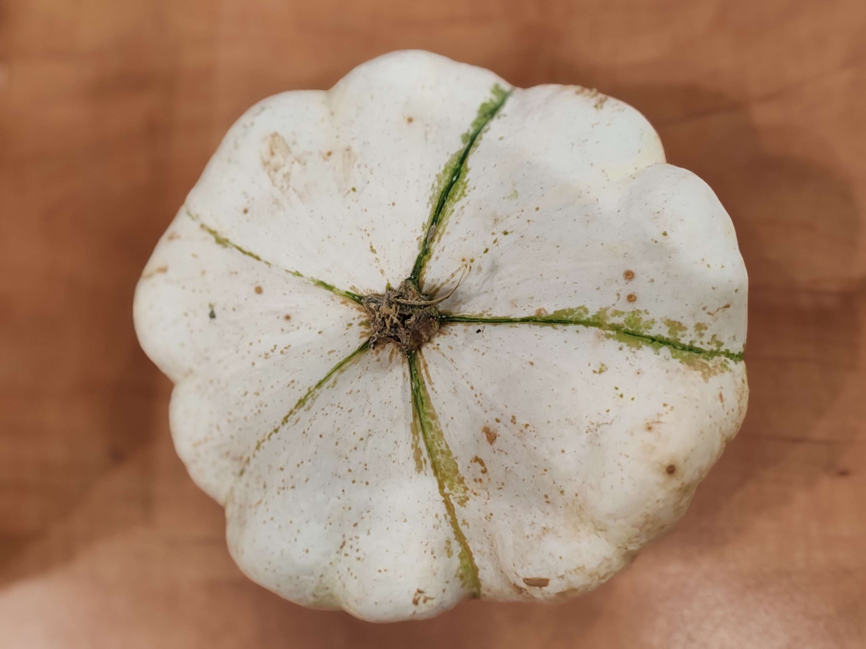 Pâtisson - 1.80€ le kilo -  environ 1kg