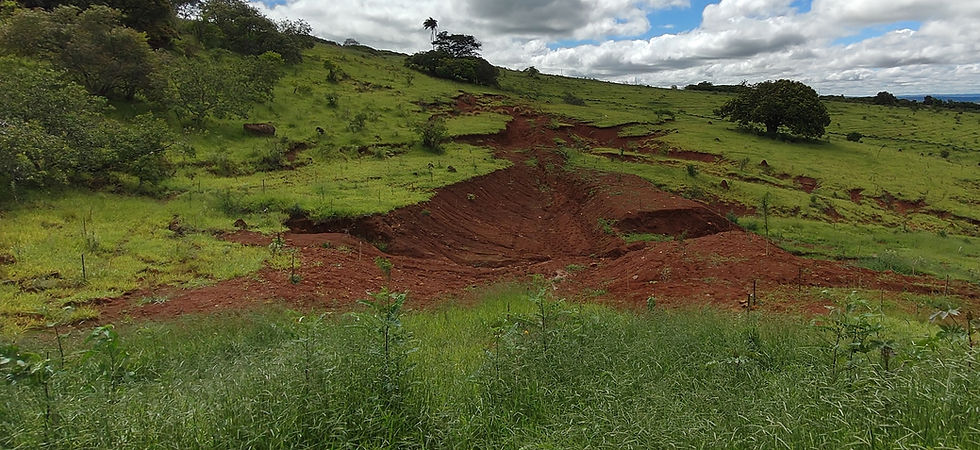 área degradada