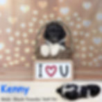 Kenny