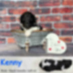 Kenny