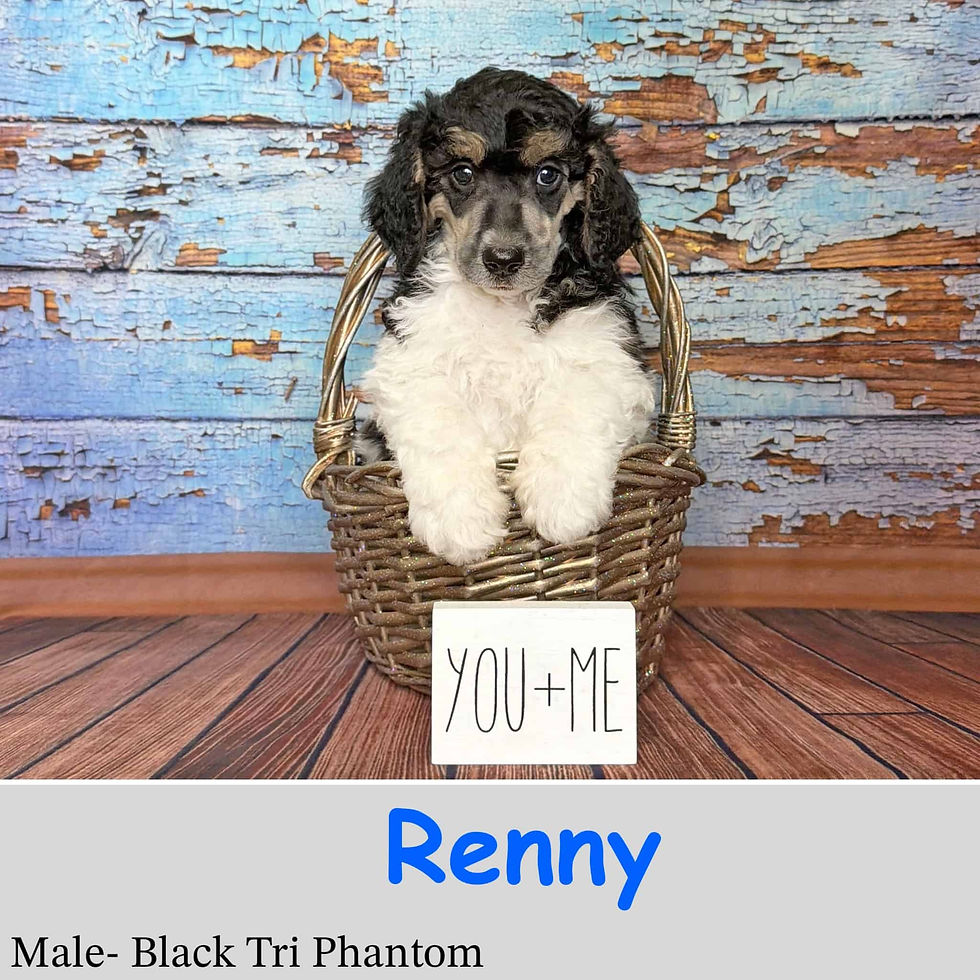Renny