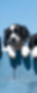 GettyImages-1207430371_edited.jpg