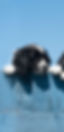 GettyImages-1207430371_edited.jpg
