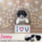 Jenny