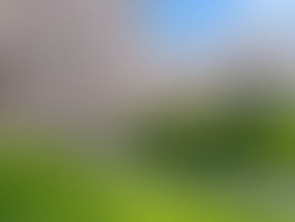 お久しぶりです。