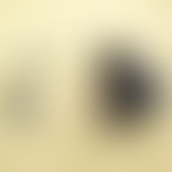 リセット